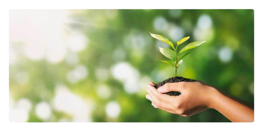 How To Make Your Menstrual Cycle More Sustainable...