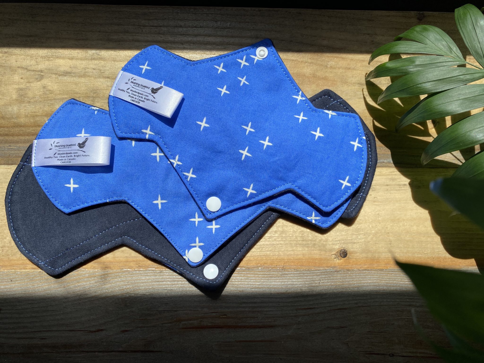 Reusable Pads and Period Underwear - Canada & USA