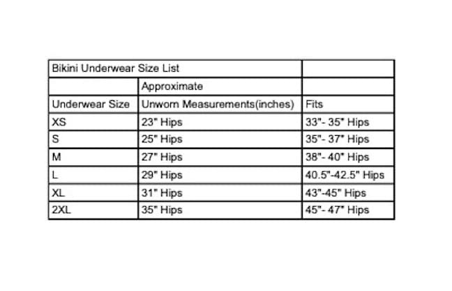 Period Underwear 'New' Bikini Style - Image 11