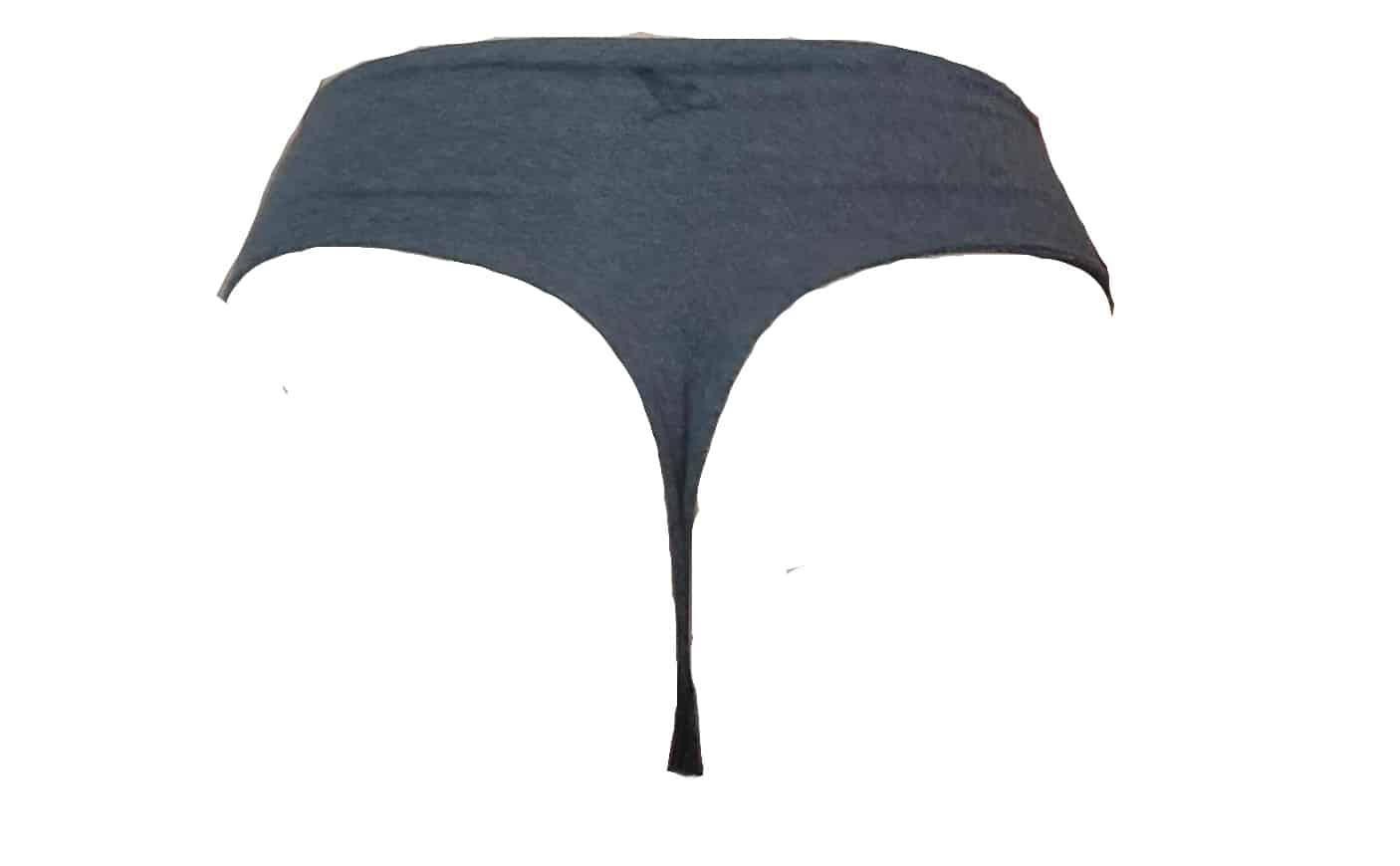 Thong Style Period Underwear - Image 3
